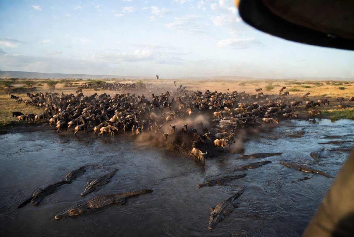 Main image for The Ultimate Maasai Mara Migration & Balloon Safari