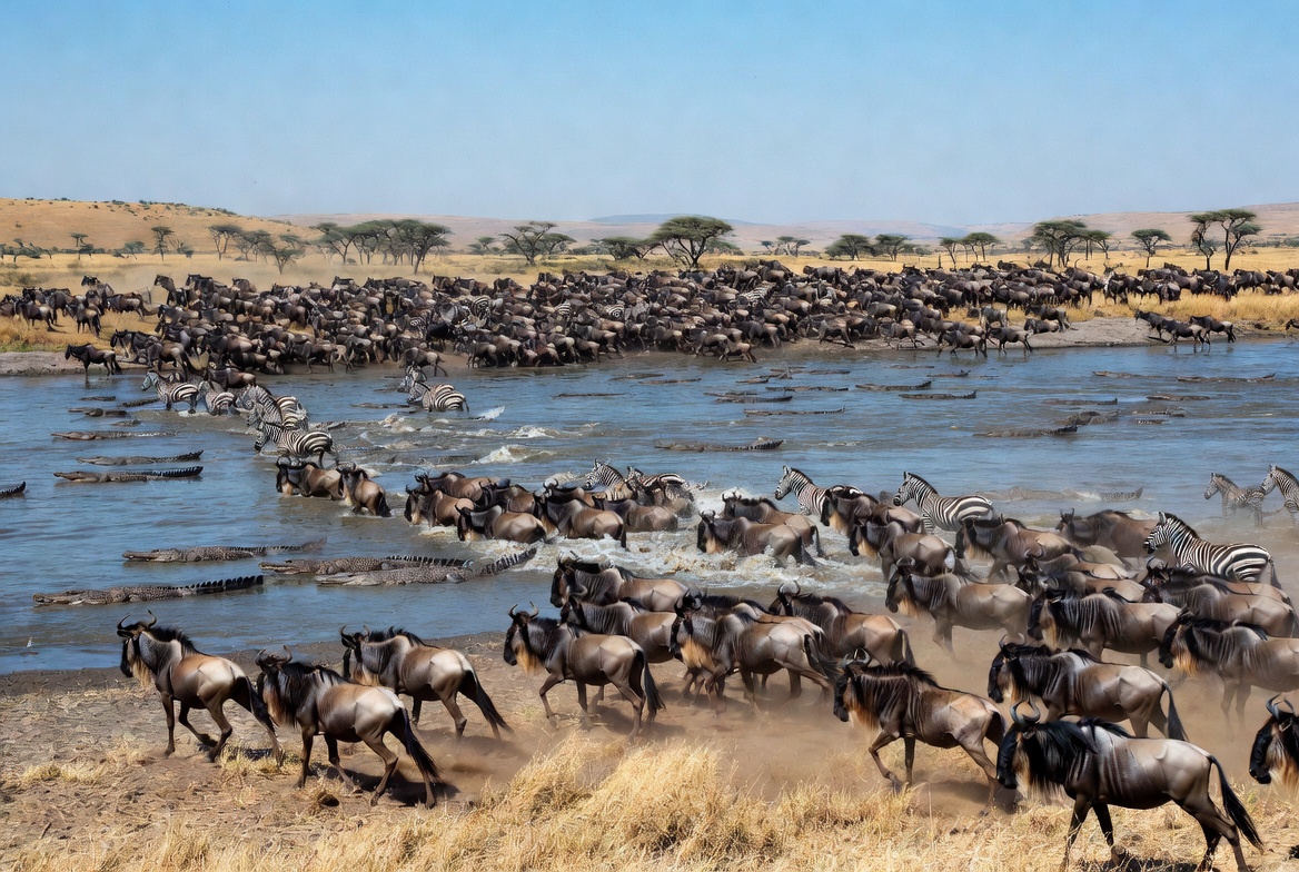 Serengeti Wildlife Safari